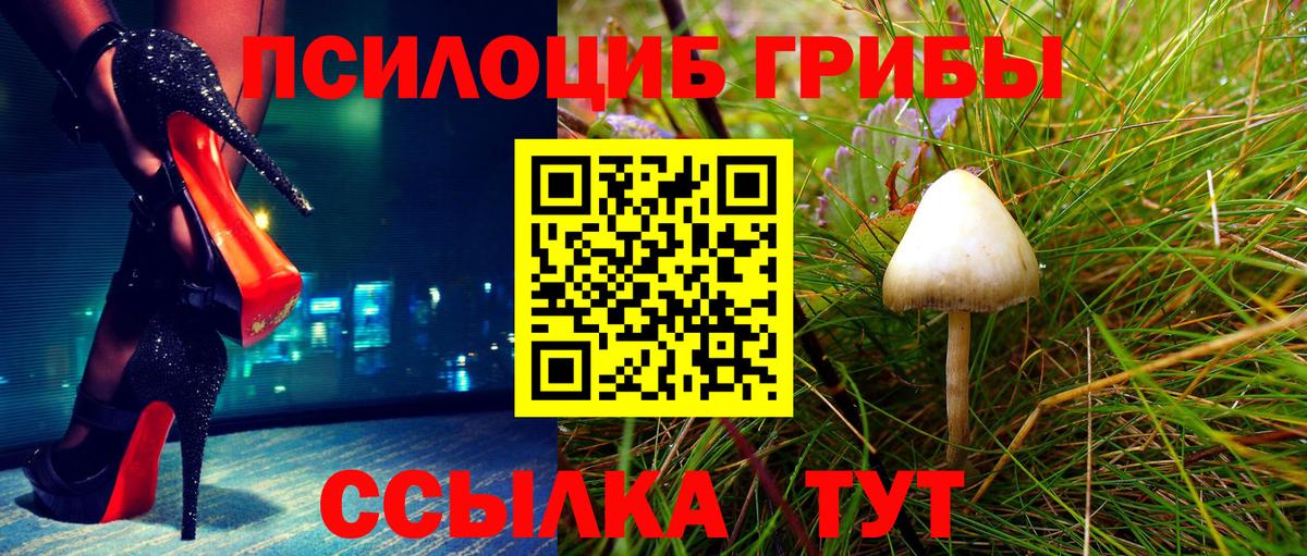Галлюциногенные грибы ЛСД Балашиха